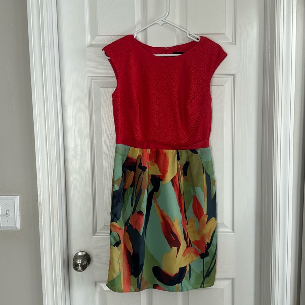 Stunning Adrianna Papell Dress